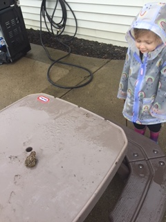Mackenzie and toad 