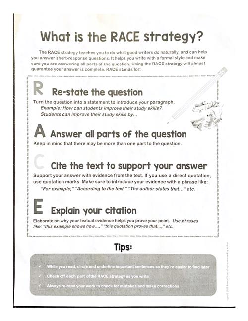 Forgione R Grade 3 Learning Visuals