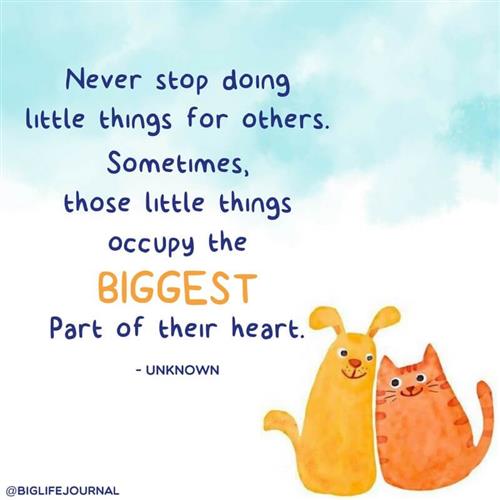 never stoo 