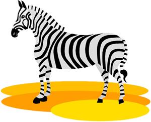 ZEBRA 