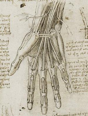 da vinci 2 